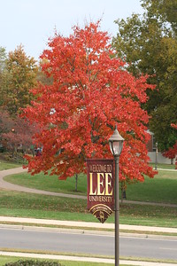 Lee Shots photo